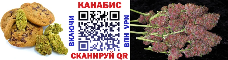 Canna-Cookies марихуана  блэк спрут как войти  Болотное 