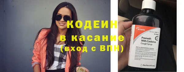 сатива Армянск
