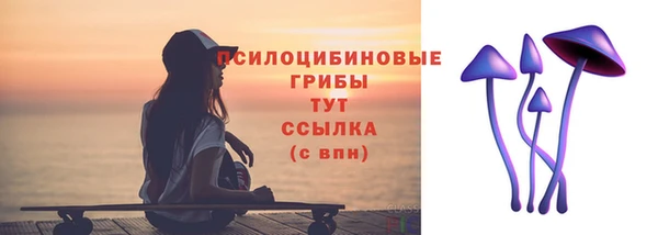 сатива Армянск