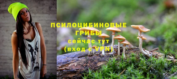 ПСИЛОЦИБИНОВЫЕ ГРИБЫ Грязи