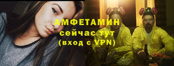 сатива Армянск